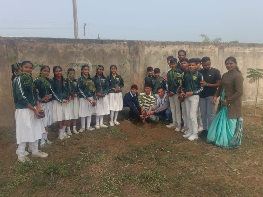 SVPS Plantation 4